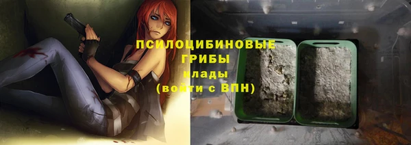 ешки Арсеньев