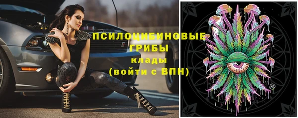 MESCALINE Аркадак