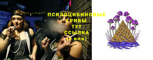 ешки Арсеньев